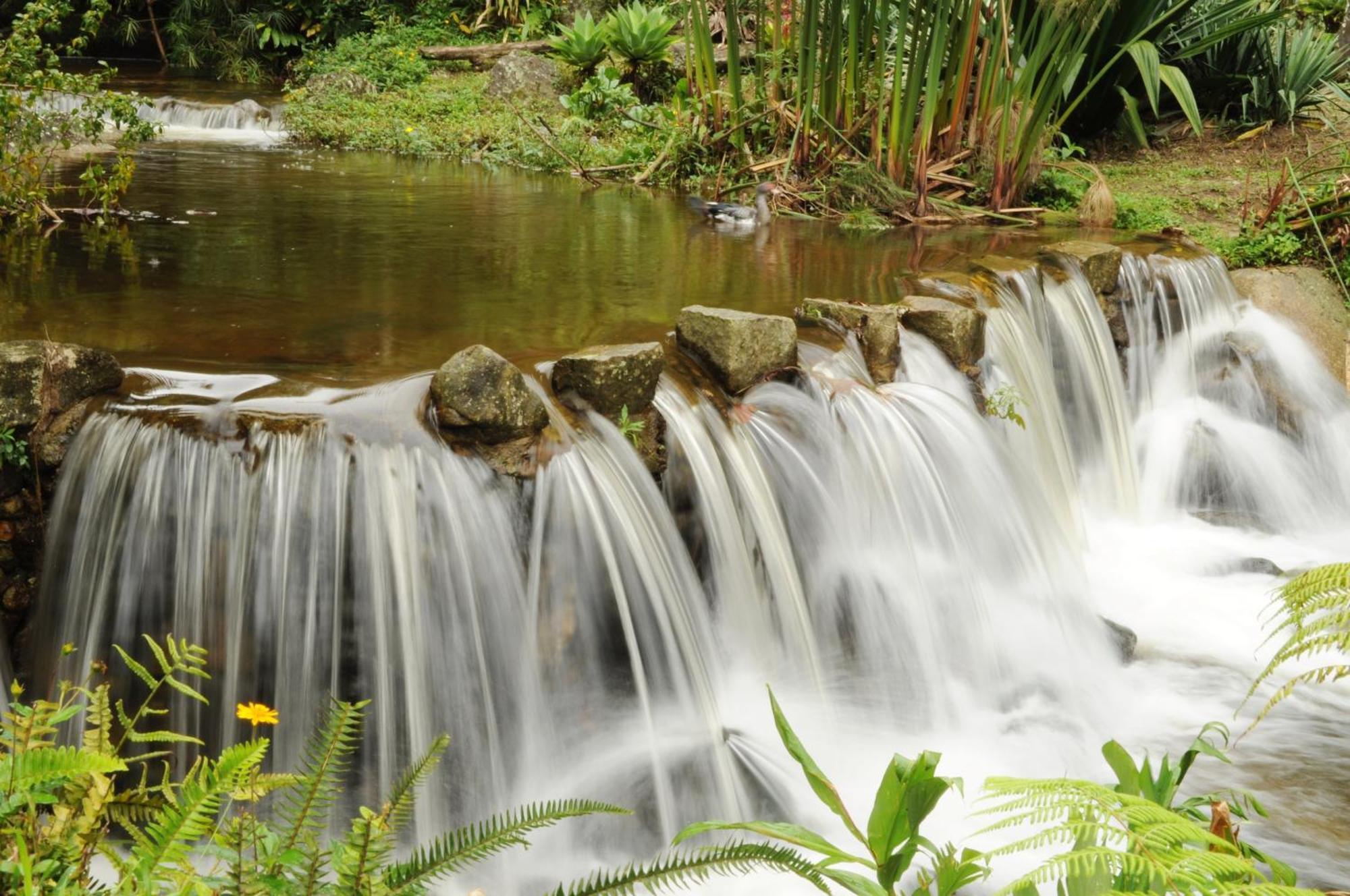 Pousada Sitio E Poesia Teresopolis Exterior photo